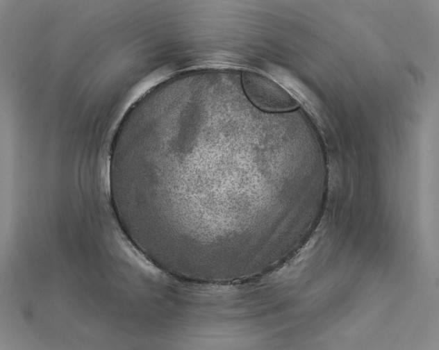 X0000112771238200909031604