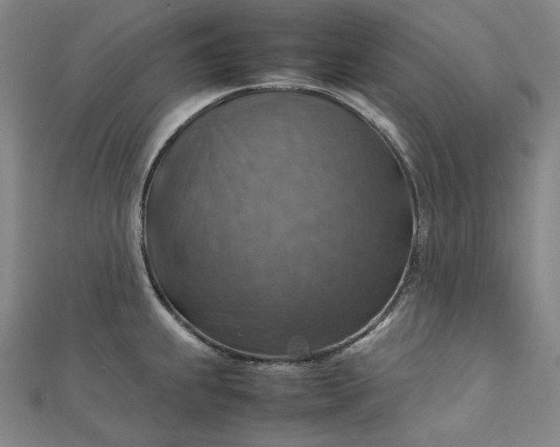 X0000112771239200909031604