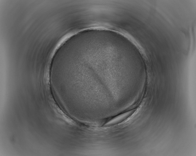 X0000112771240200909031604