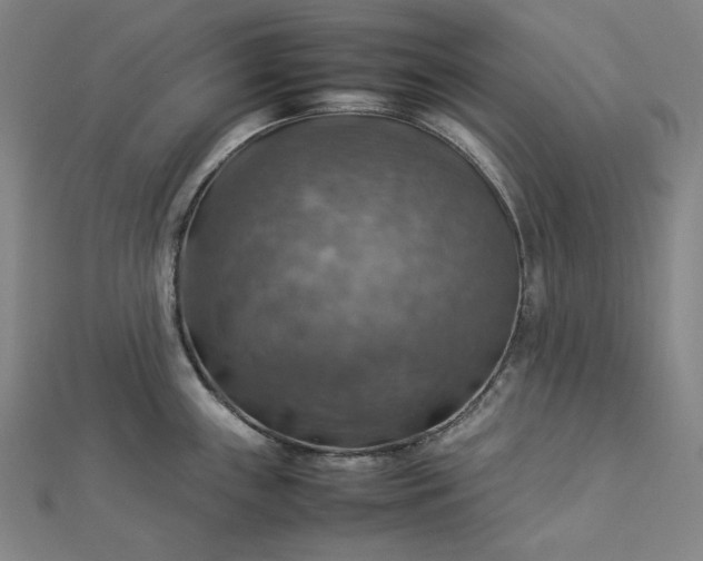 X0000112771243200909031604