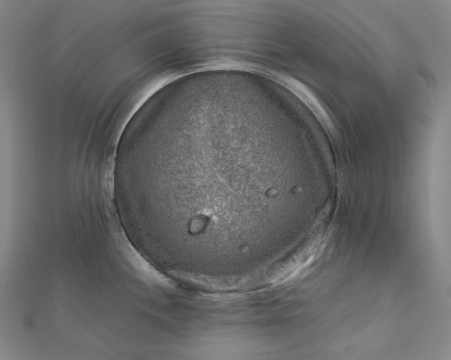 X0000112771244200909031605