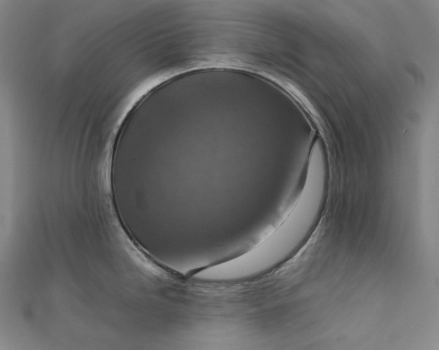 X0000112771246200909031605