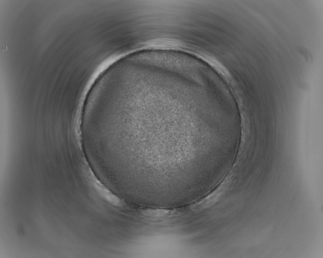 X0000112771248200909031605