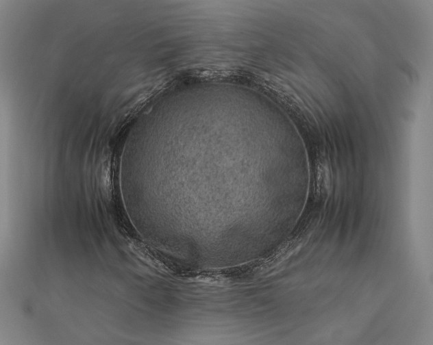 X0000112771250200909031604