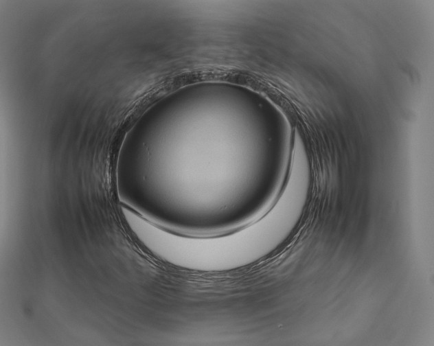 X0000112771252200909031604