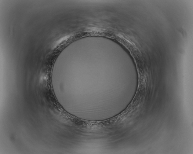 X0000112771254200909031604