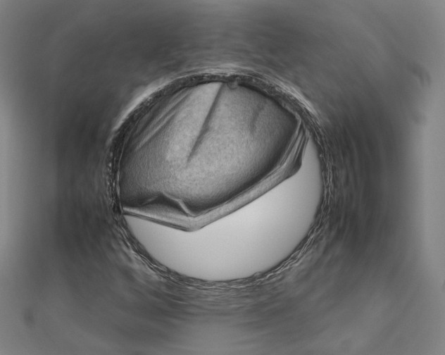 X0000112771256200909031604