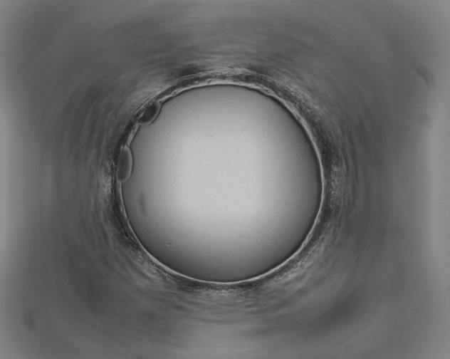 X0000112771257200909031604