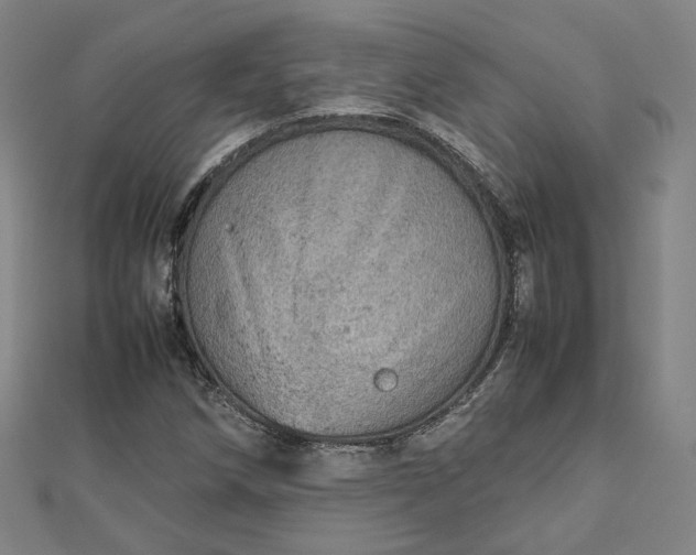 X0000112771258200909031604