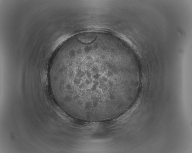 X0000112771259200909031604