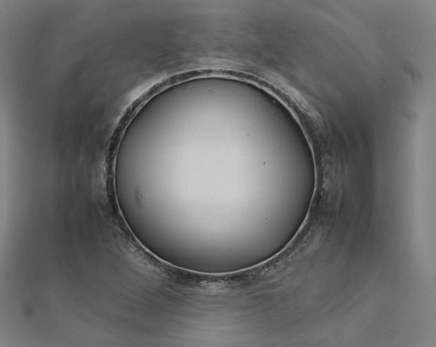 X0000112771264200909031604