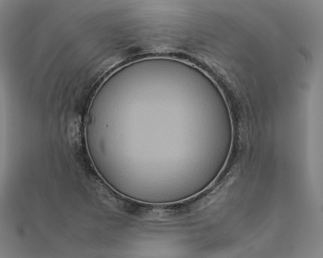 X0000112771265200909031604