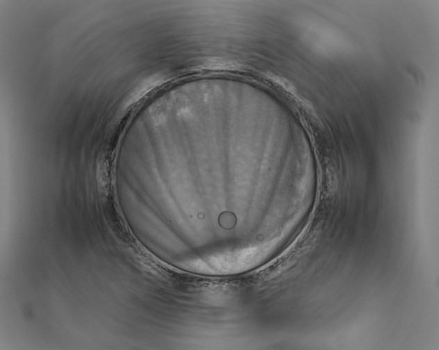 X0000112771266200909031604