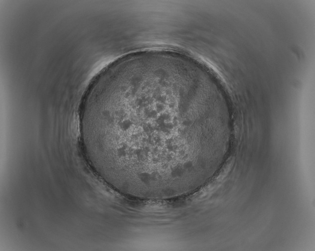 X0000112771267200909031604