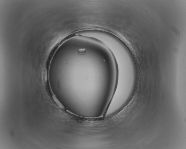 X0000112771269200909031604