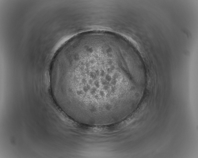 X0000112771271200909031603