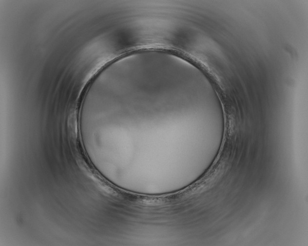 X0000112771274200909031603