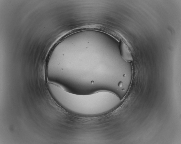 X0000112771276200909031603