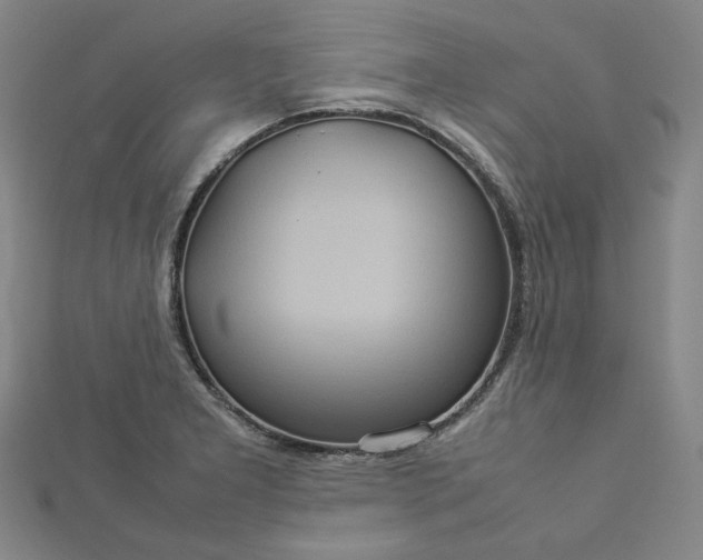 X0000112771277200909031603