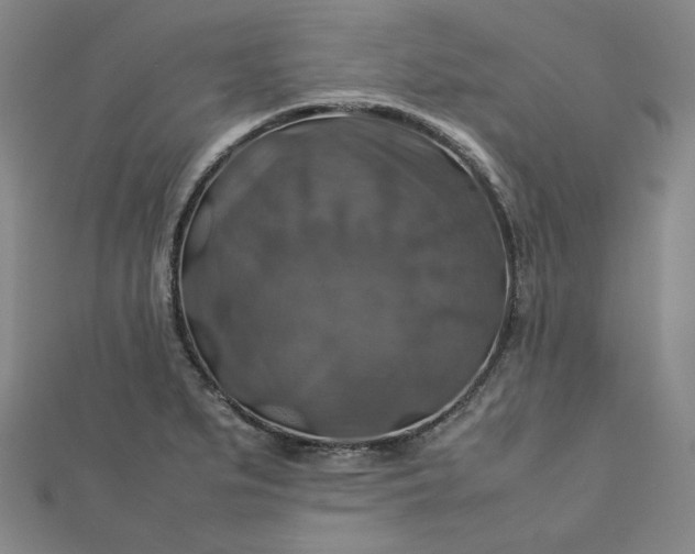 X0000112771279200909031603