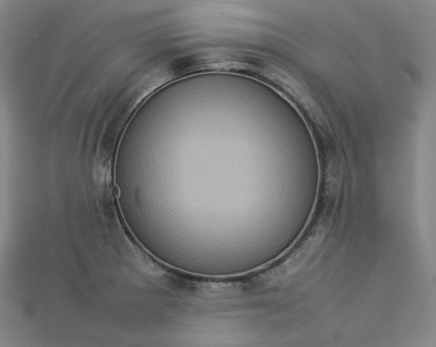 X0000112771281200909031603