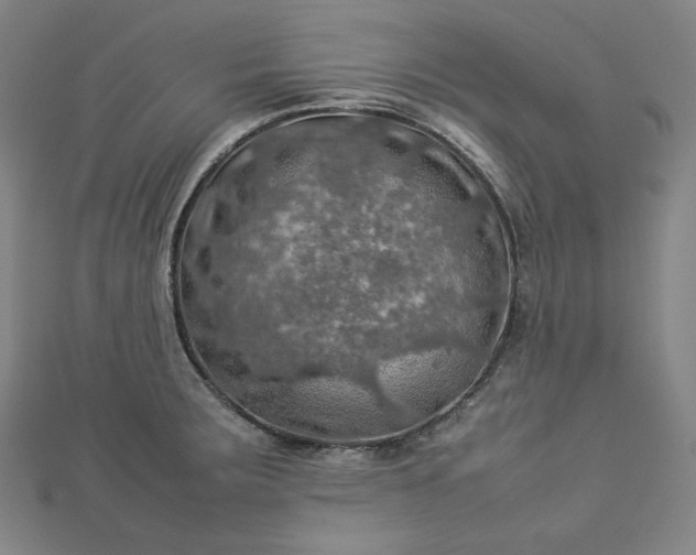 X0000112771283200909031603