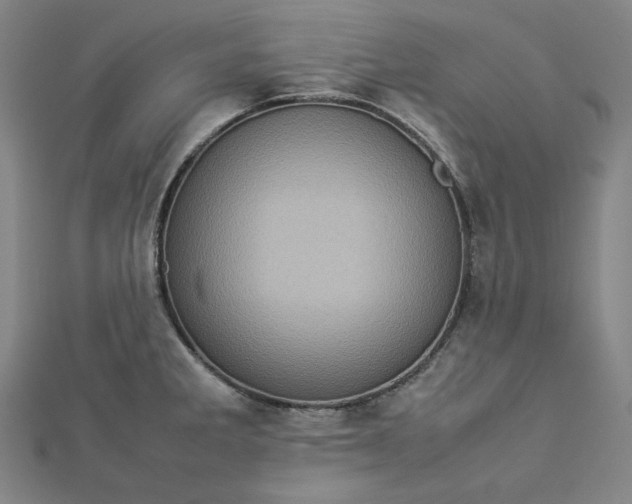 X0000112771285200909031603