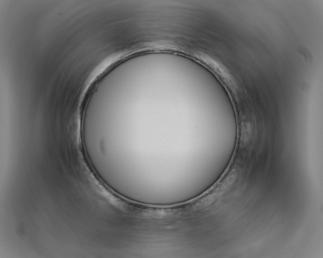 X0000112771286200909031603