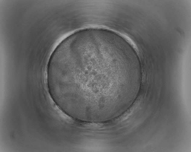 X0000112771287200909031603