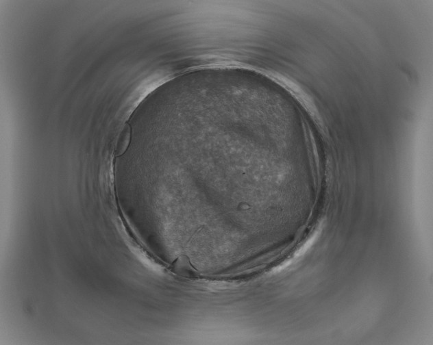 X0000112771289200909031603