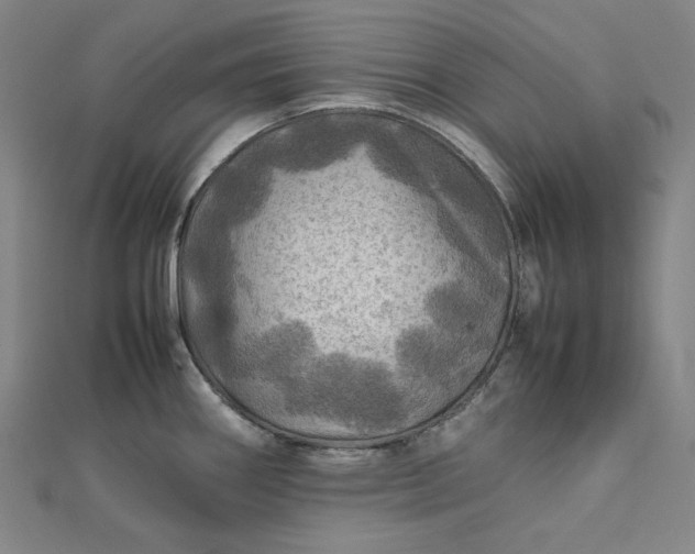 X0000112771290200909031603