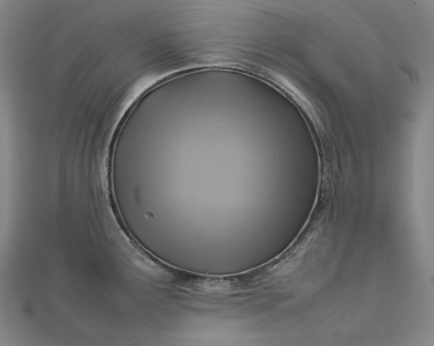 X0000112771291200909031603