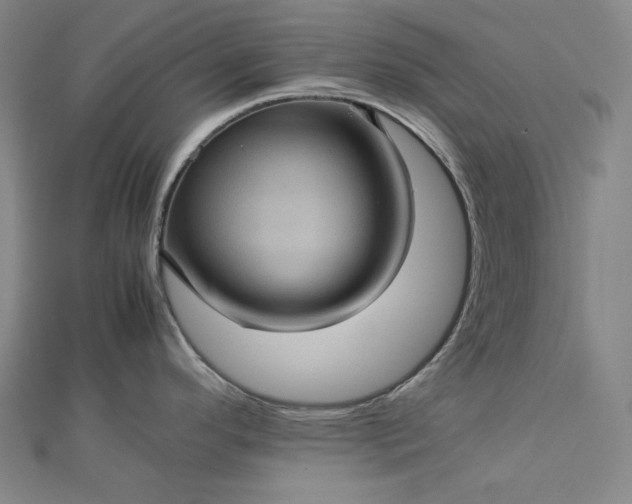 X0000112771296200909031603