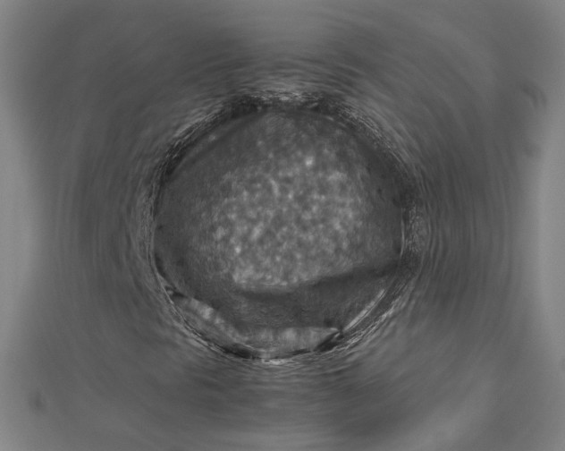 X0000112771297200909031603