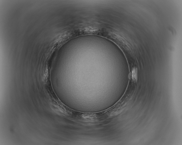 X0000112771299200909031603