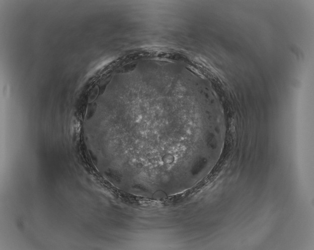 X0000112771302200909031603