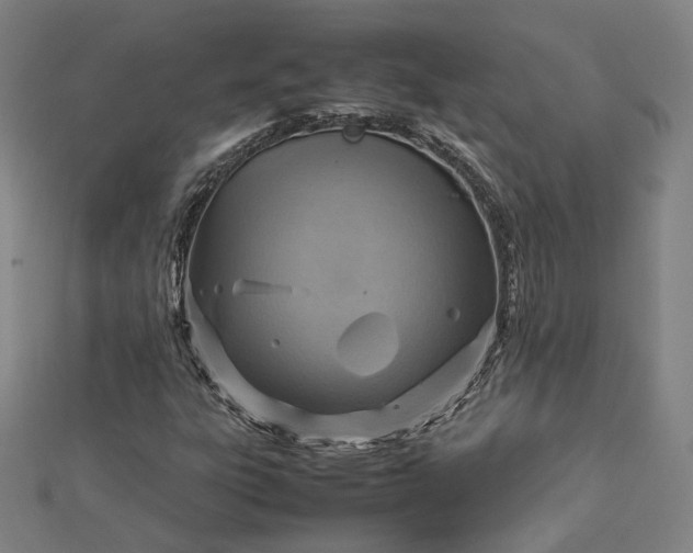 X0000112771303200909031603