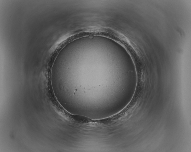 X0000112771304200909031603