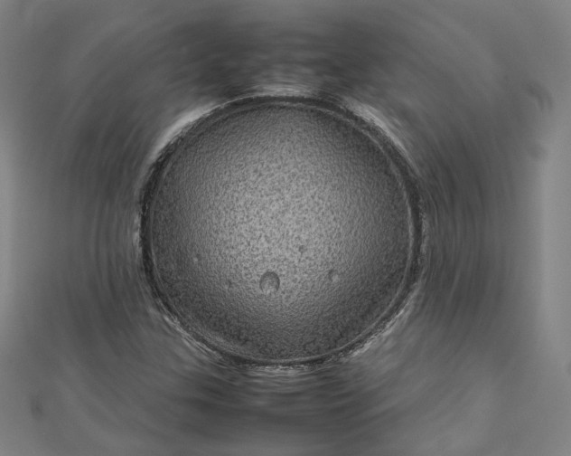 X0000112771307200909031603