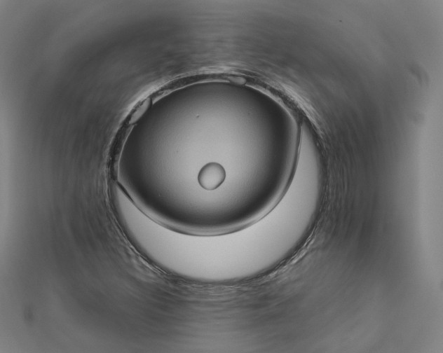 X0000112771308200909031603