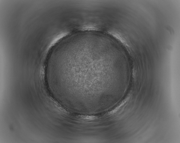 X0000112771309200909031603