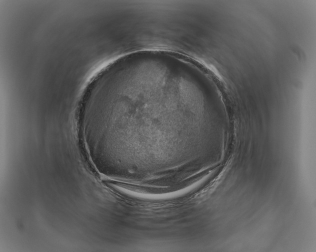 X0000112771311200909031603