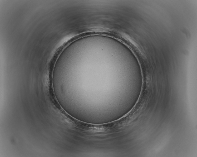 X0000112771315200909031603