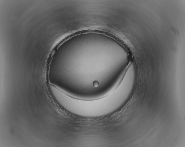 X0000112771316200909031603