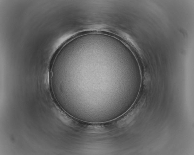 X0000112771320200909031603