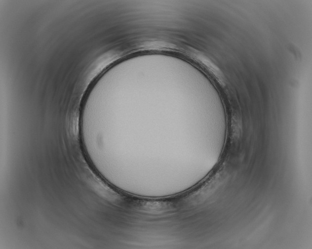 X0000112771322200909031603