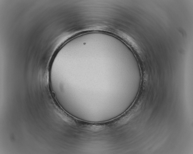 X0000112771324200909031603