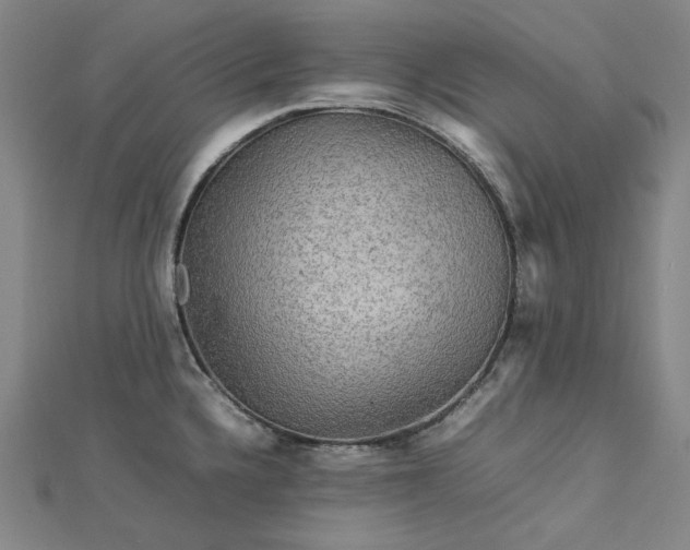 X0000112771336200909031603