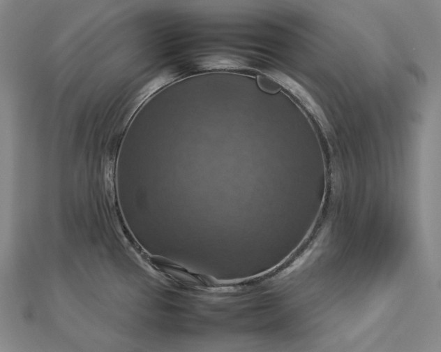 X0000112771337200909031603