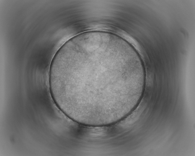 X0000112771338200909031603